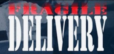 Book Excerpt Fragile Delivery